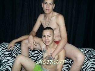 2BOYS_GAY