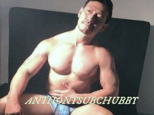 ANTHONYSUBCHUBBY