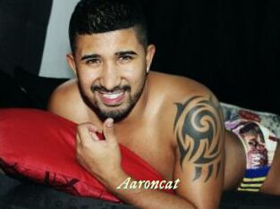 Aaroncat