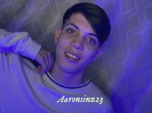 Aaronsinz23