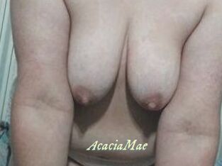 AcaciaMae