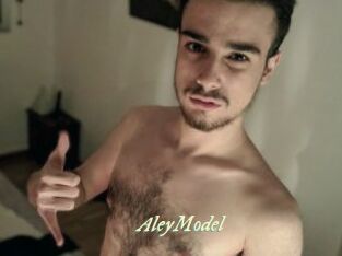 AleyModel