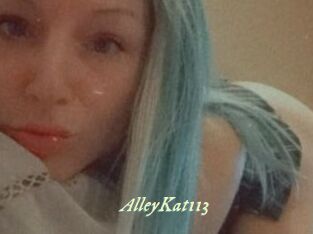 AlleyKat113