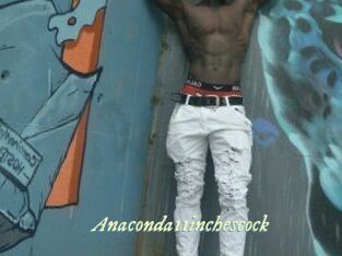 Anaconda11inchescock
