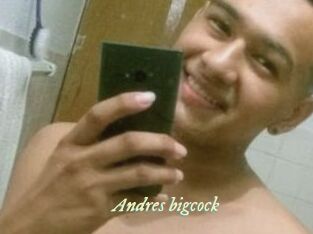Andres_bigcock Année du sexe