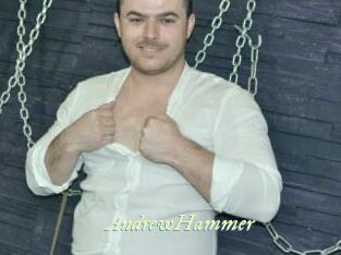 AndrewHammer