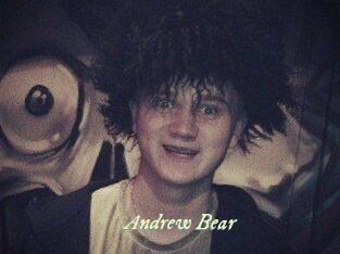 Andrew_Bear