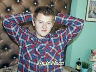 AndyPlacel