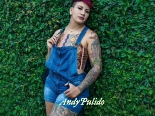 AndyPulido