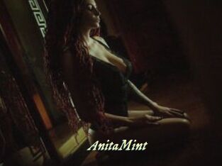 AnitaMint