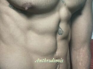 Anthrodomis