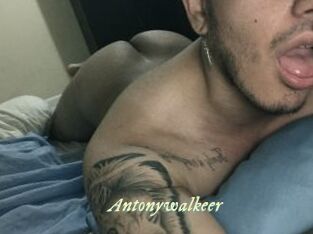 Antonywalkeer Année du sexe