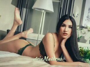 AriaMatheus Année du sexe