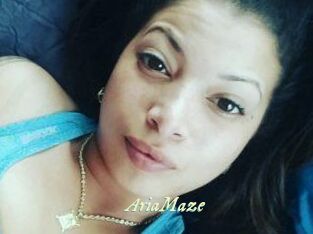 Aria_Maze