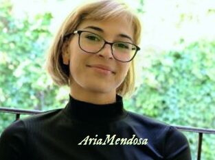 AriaMendosa