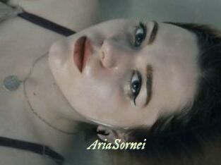 AriaSornei