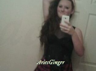 AriesGinger