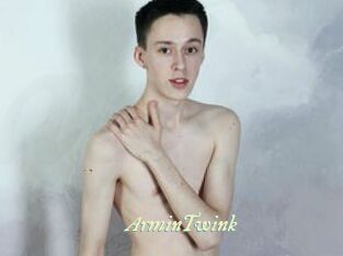 ArminTwink