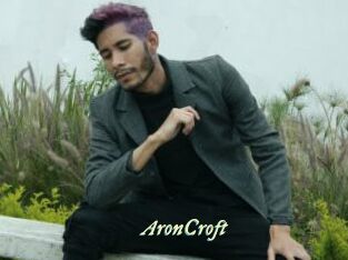 AronCroft Année du sexe