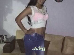 Assbigg