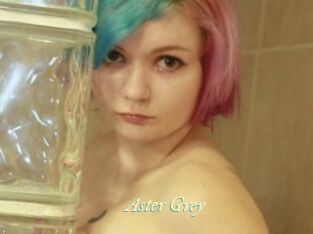 Aster_Grey