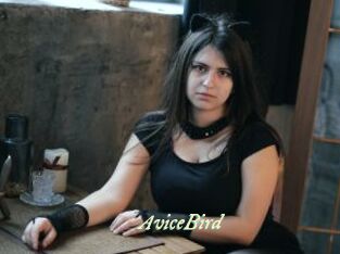 AviceBird