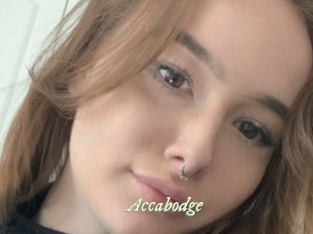 Accabodge