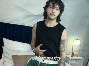 adammarley Année du sexe