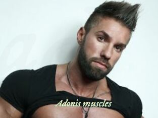 Adonis_muscles