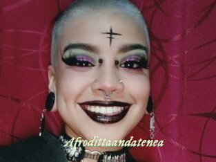 Afrodittaandatenea