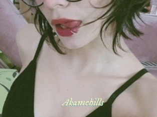 Akamehills