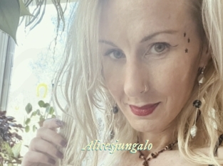 Alicesjungalo
