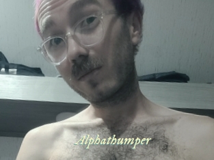 alphathumper Année du sexe