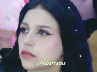 Ambarcams
