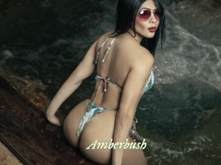 amberbush Année du sexe