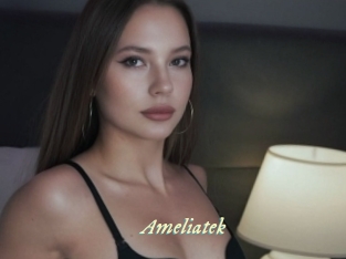 Ameliatek