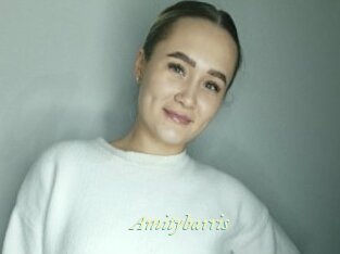 Amitybarris