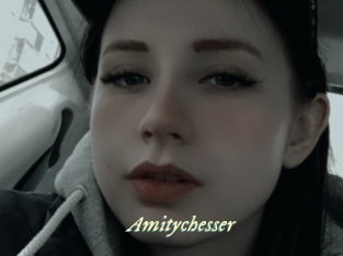 Amitychesser