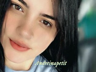 Andreinapetit