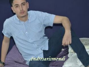 Andresarismendi