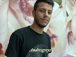 Andresgreys