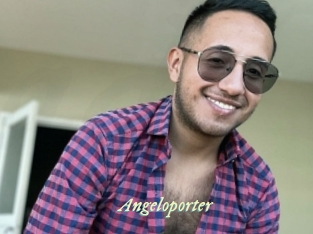 Angeloporter