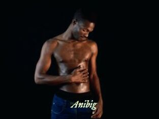 Anibig