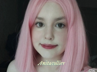 Anitacollier