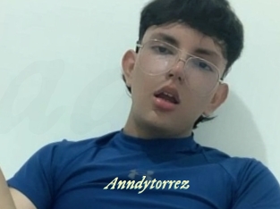 Anndytorrez