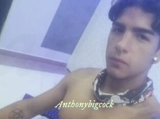 Anthonybigcock