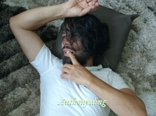anthonyding Année du sexe