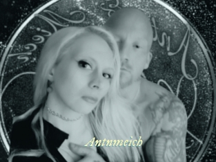 Antnmeich