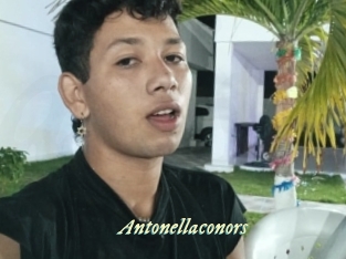 antonellaconors Année du sexe