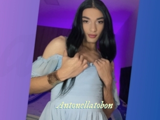 antonellatobon Année du sexe